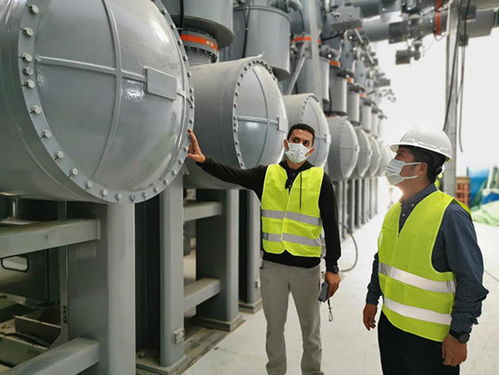 荒漠中有序推動埃及超高壓設(shè)備建設(shè)——埃克倫斯電氣的實踐與策略